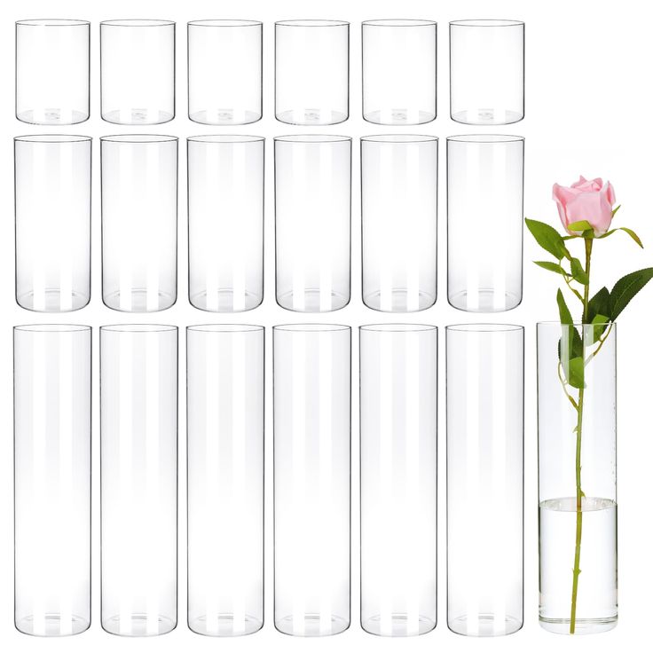 there is a rose in a tall glass vase next to many empty glasses on the wall