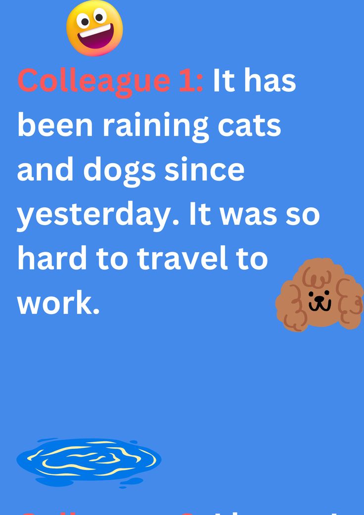 Joke between two colleagues about heavy rains, on blue background. The image has text and emoticons. Rain Jokes, Funniest Jokes, Monsoon Season, Jokes Images, Raining Cats And Dogs, Friends And Family, Funny Jokes, Dog Cat, For Free