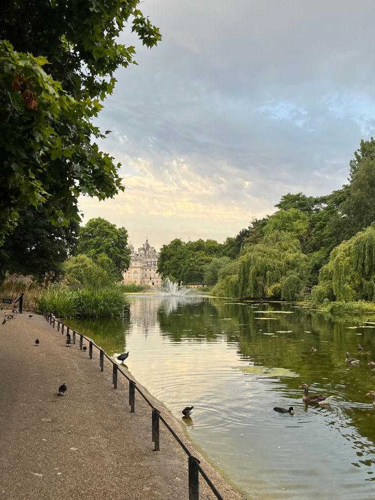 several ducks are swimming in the water near some trees and bushes on either side of a path