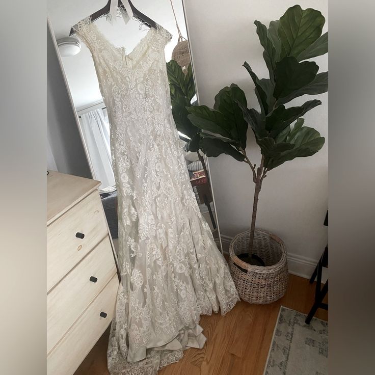 a wedding dress hanging on a hanger next to a potted plant