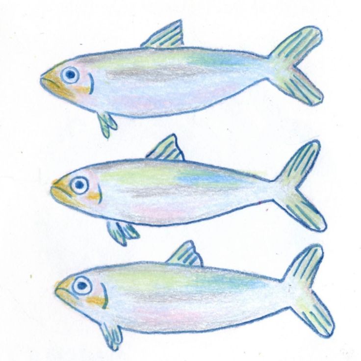 three small fish are depicted in this drawing