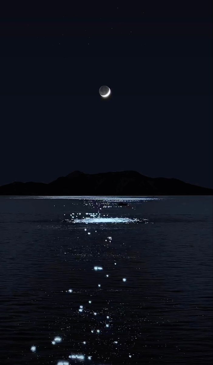 the moon is shining brightly in the night sky over water with bubbles floating on it