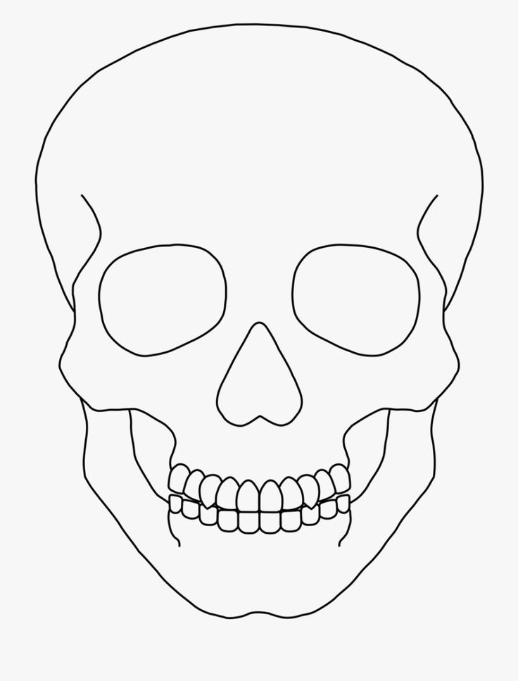 a black and white drawing of a skull