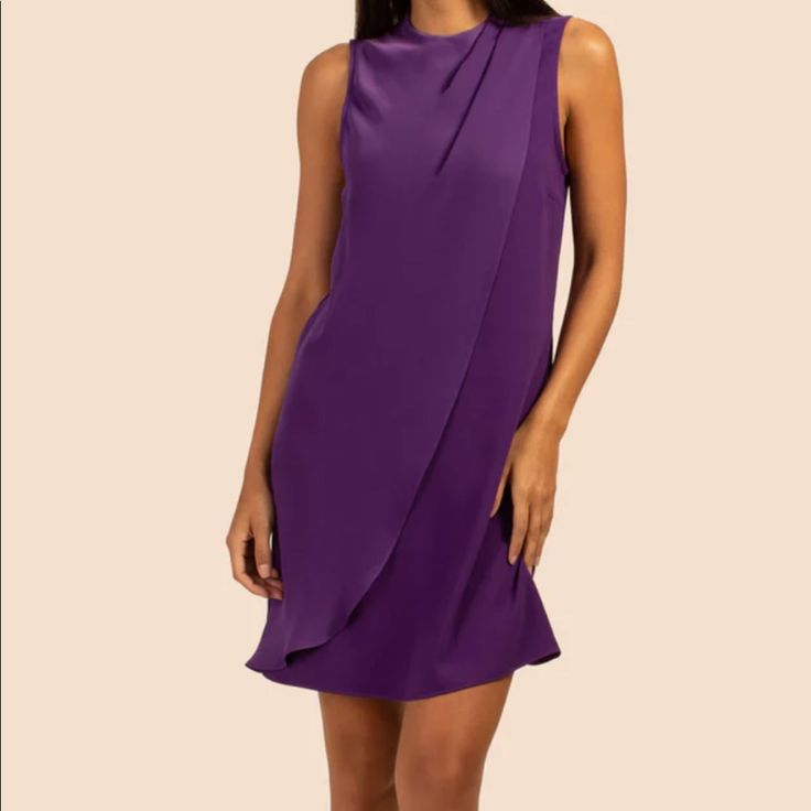 Flattering Dress For Day Or Night - Never Worn Elegant Purple Dress For Date Night, Chic Purple Sleeveless Dress, Elegant Purple Sleeveless Evening Dress, Pre-draped Sleeveless Dress For Date Night, Elegant Purple Silk Mini Dress, Elegant Purple A-line Mini Dress, Purple Sleeveless Silk Mini Dress, Purple V-neck Beachwear Dress, Trina Turk Dresses