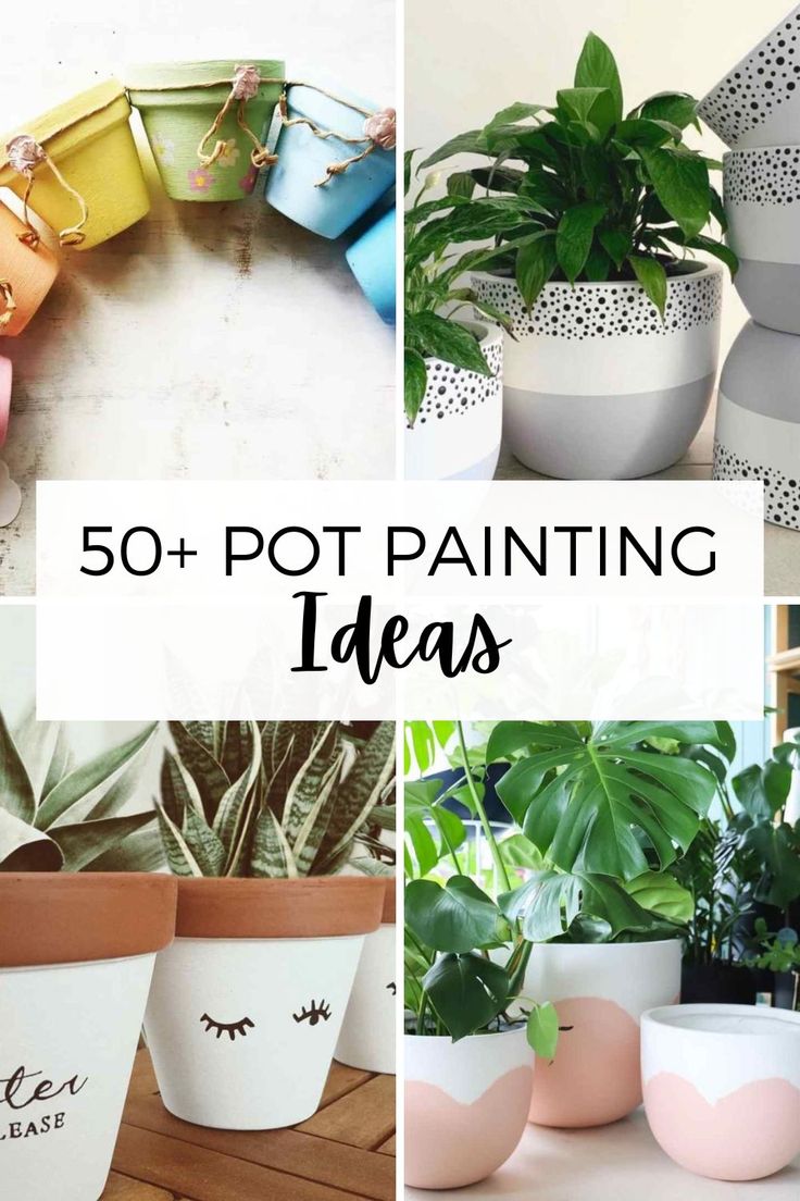 some potted plants with the words 50 + pot painting ideas