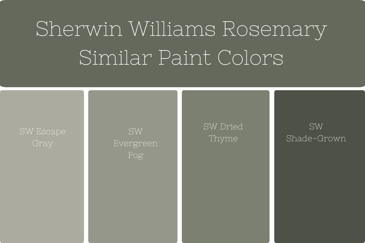 sheryln williams rosemary similar paint colors