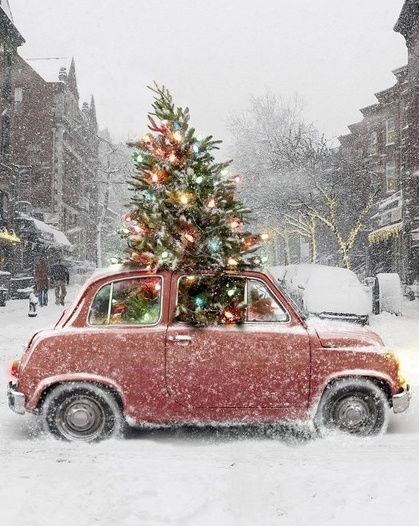 a small red car with a christmas tree on top in the middle of a snowy street