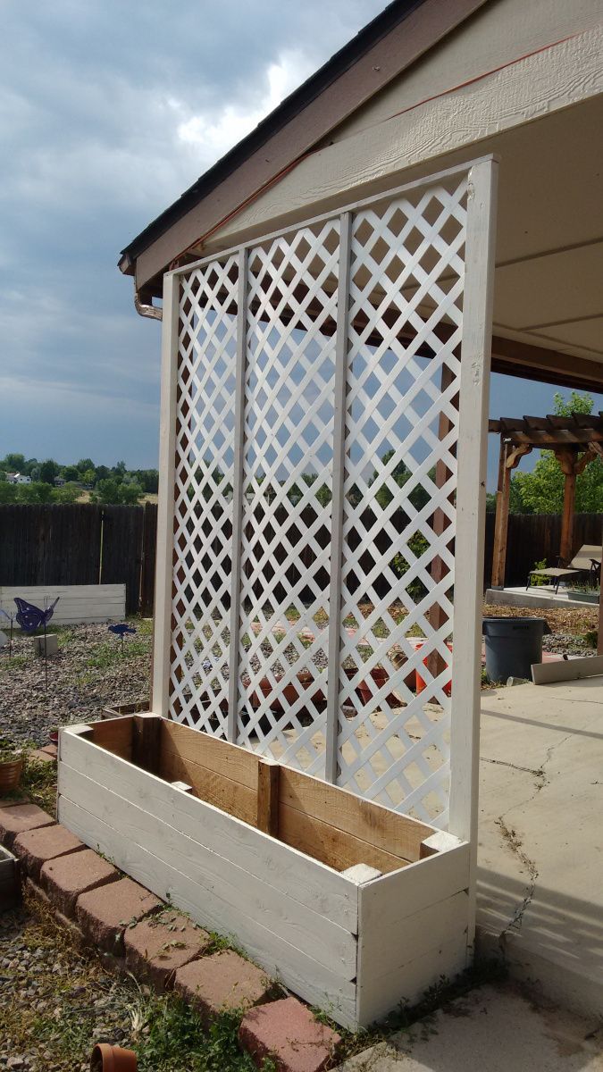 the back side of a house with an open window and latticed screen on it