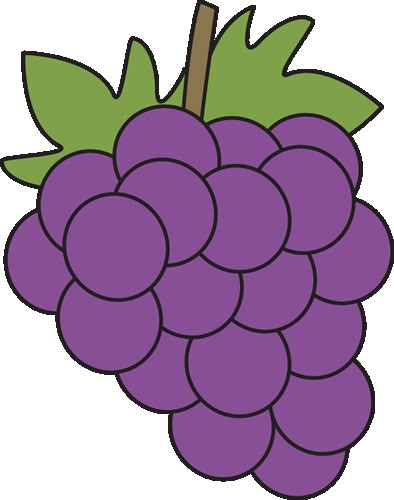 a bunch of grapes with green leaves on the top and purple berries on the bottom