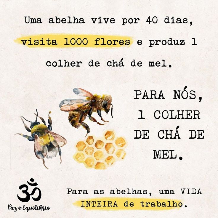 an image of bees and honeycombs in spanish