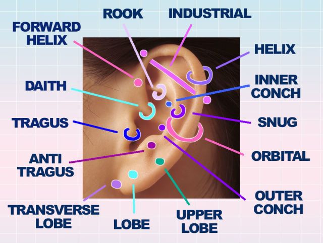 an ear with different types of piercings labeled in the center and below it are words