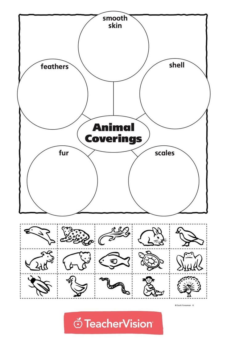 the animal coverings worksheet is shown in black and white, with an image of