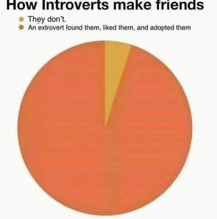 a pie chart with the words how intovets make friends and an extrovert found them, like them, and adopted them