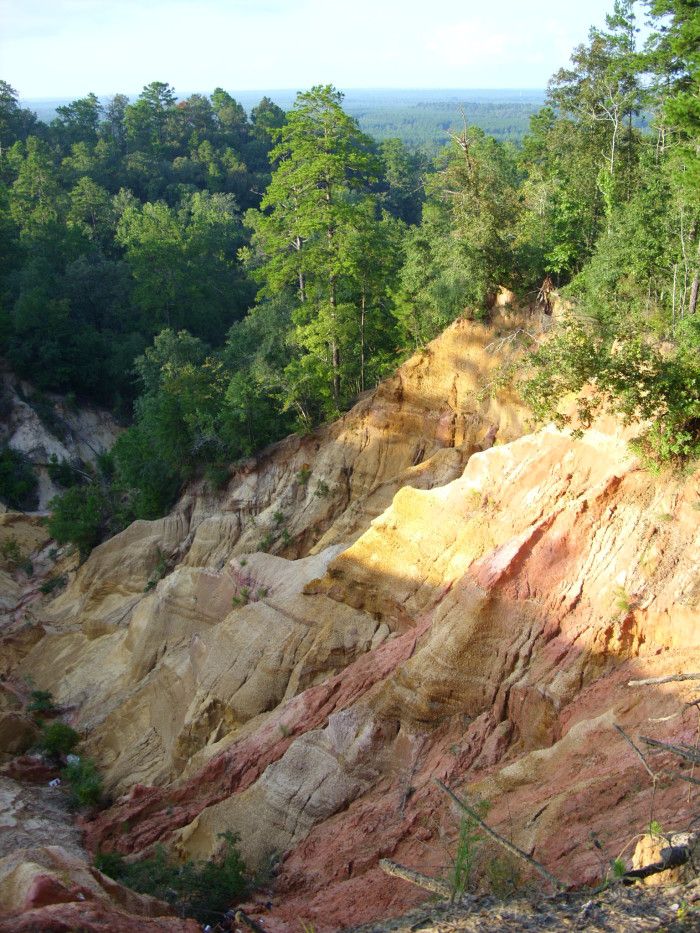 an area with many different colored rocks and trees