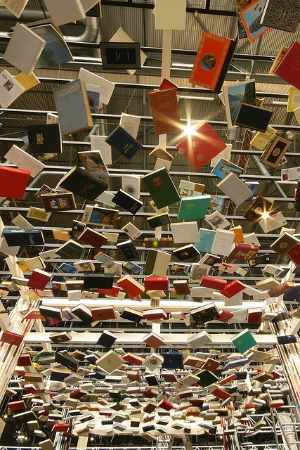 many books are hanging from the ceiling