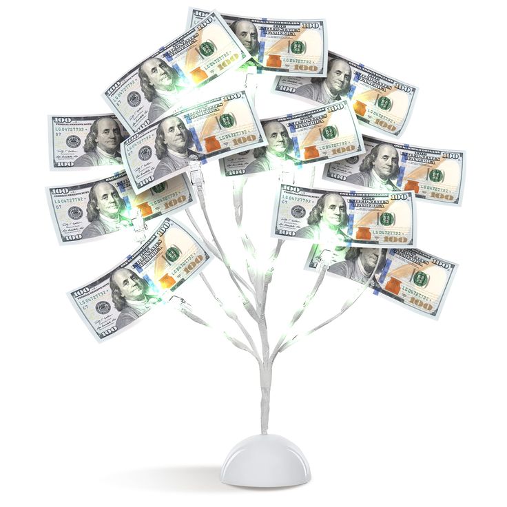 a bunch of money sitting on top of a white tree with one dollar bill sticking out of it