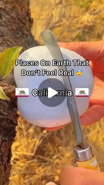 someone is holding a piece of fruit in their hand with the words, places on earth that don't feel real call mia