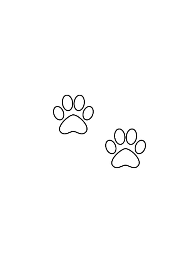 two dogs paw prints on a white background