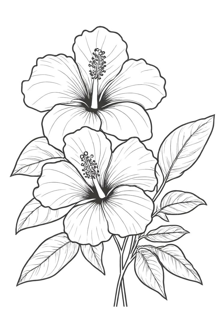 two large flowers with leaves are drawn in black and white, on a white background