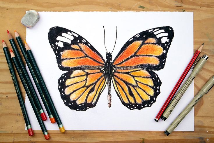 a drawing of a monarch butterfly with colored pencils and crayons next to it