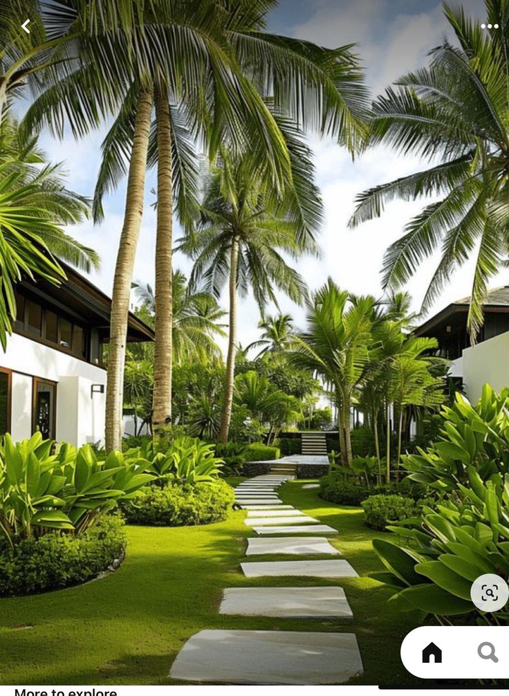 a tropical garden with palm trees and stepping stones leading to the rooms in the house