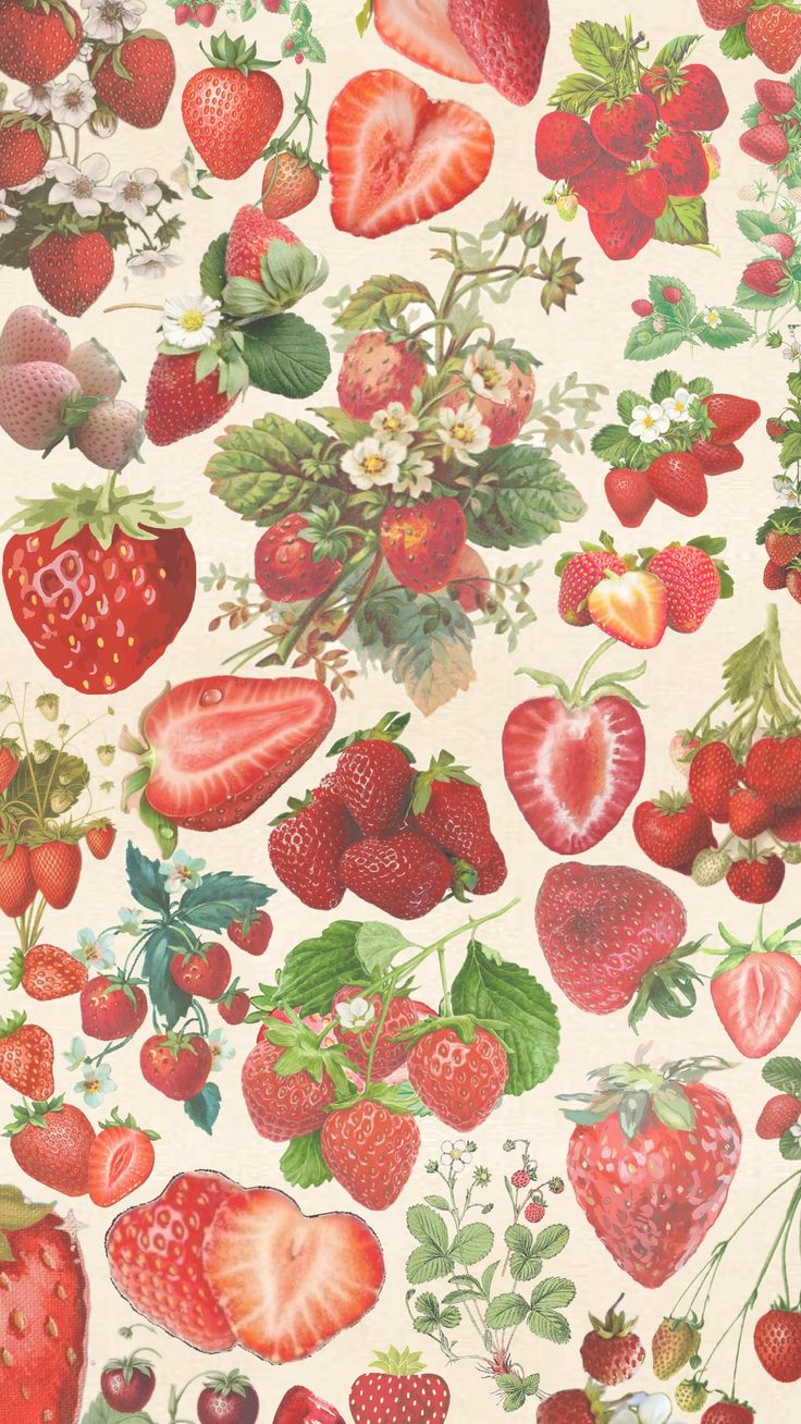 an image of strawberries and other fruit on a white background with green leaves, flowers, and berries