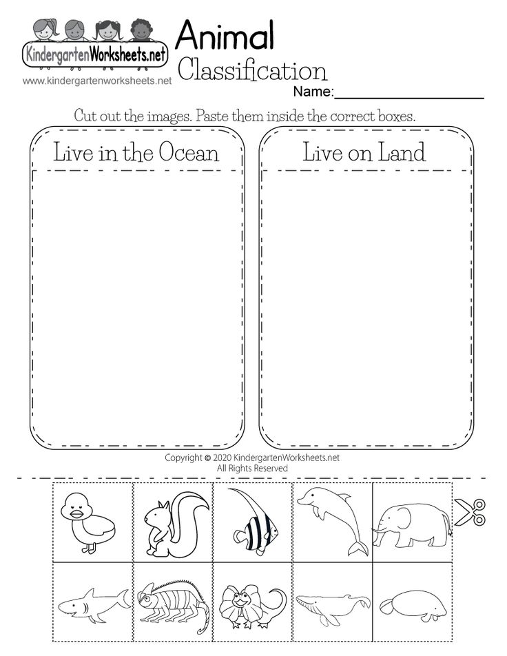 the ocean animals worksheet for preschool