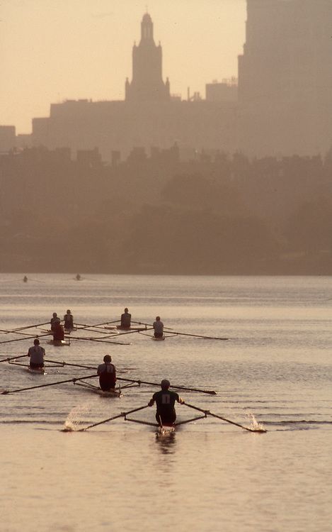 several rowers are in the water with their oars