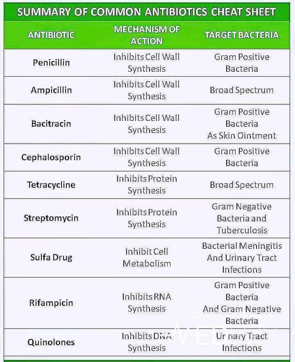 a table with different types of vitamins and their names