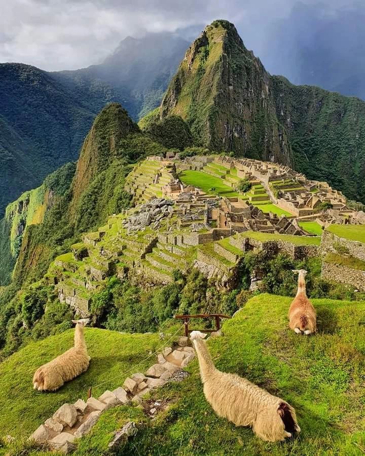 two sheep laying on top of a lush green hillside next to a mountain range with ruins in the background