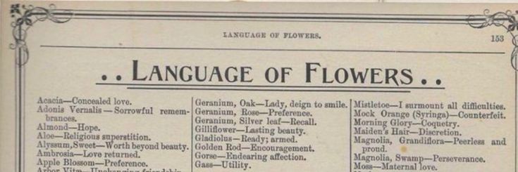 the language of flowers is shown in an old book