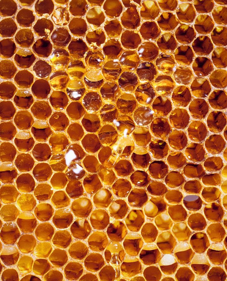 honey cells are shown in close up with water droplets on the inside and below them