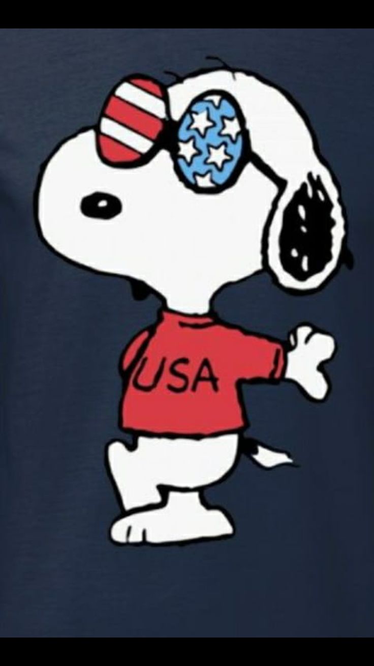 a cartoon dog with an american flag on it's head wearing a usa t - shirt