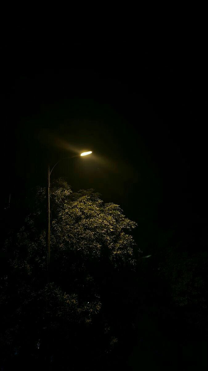 a street light shines brightly in the dark night sky above some trees and bushes