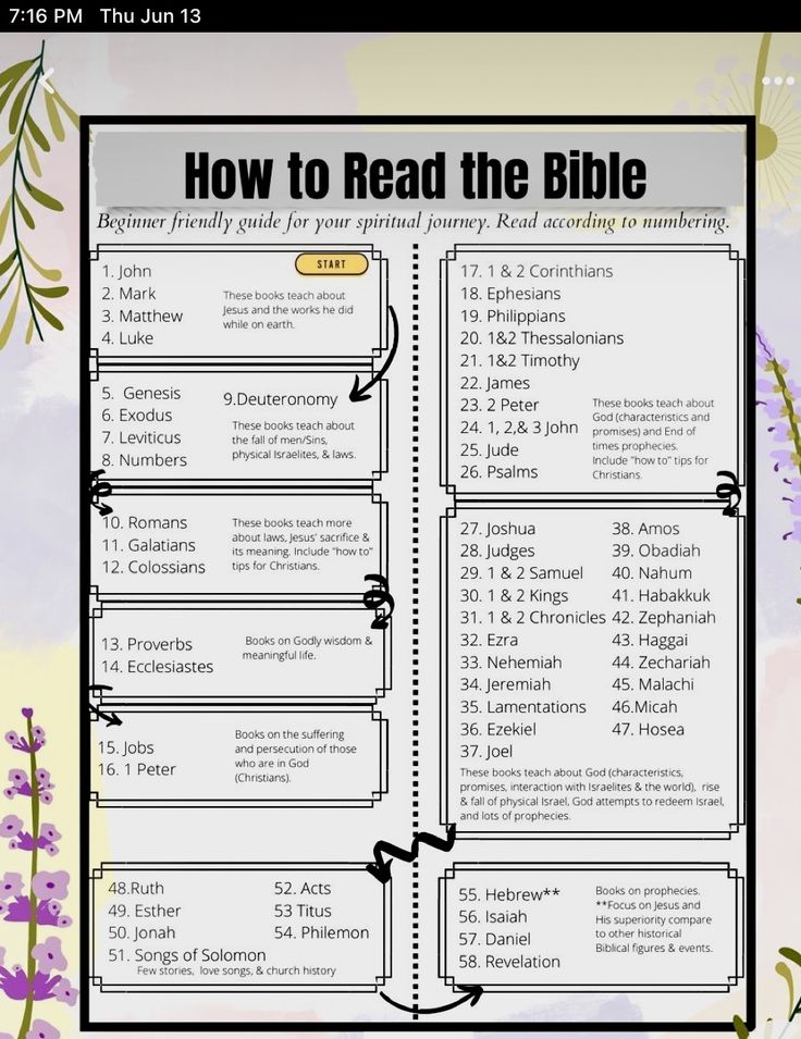 Bible Reading Methods, How To Start The Bible, Where Should I Start Reading The Bible, How To Read The Bible In Order, What Order To Read The Bible, How To Start Reading The Bible, How To Read The Bible For Beginners, Bible Organization Ideas, Where To Start Reading The Bible