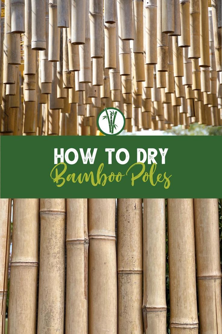 Drying bamboo stems hanging and standing with the text: How To Dry Bamboo Poles Bamboo Furniture Outdoor, Bamboo Art Diy, Bamboo Garden Fences, Diy Bamboo, Bamboo Diy, Growing Bamboo, Bamboo Privacy, Green House Design, Bamboo House Design