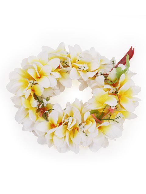 White & Yellow Plumeria Headband (Haku Lei) | AlohaOutlet White Adjustable Hair Accessories For Beach, Adjustable White Hair Accessories For Beach, Adjustable White Hair Accessories For The Beach, Adjustable White Flower Hair Accessories, Adjustable White Summer Headband, Adjustable White Headband For Summer, Adjustable Yellow Headband For Gift, Adjustable Yellow Headband Gift, Adjustable Yellow Headband As Gift