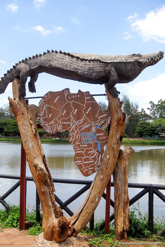 a wooden sculpture with a map of africa on it's back and an alligator in the middle