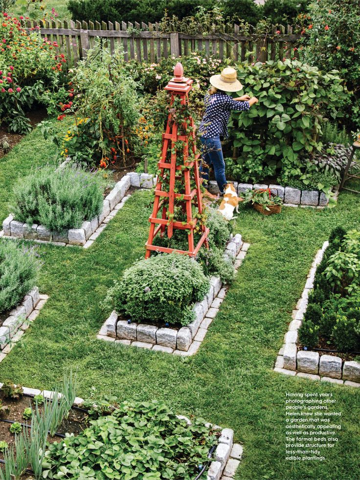 a person in a garden with some plants