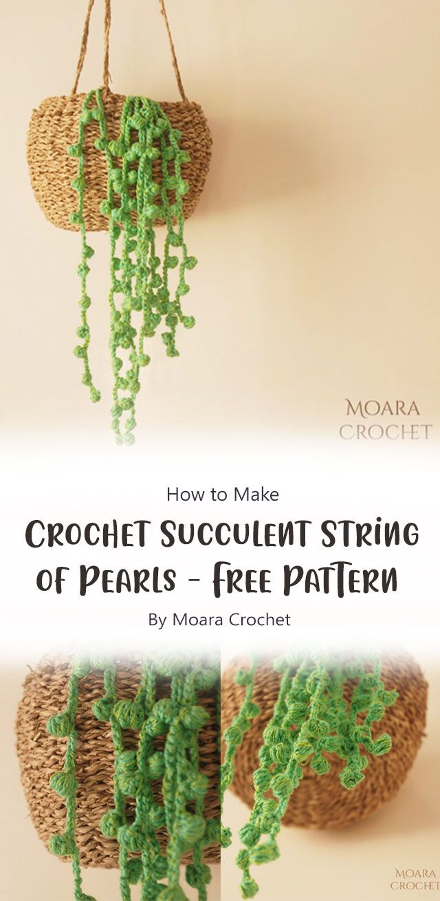 crochet succulent string of pearls - free pattern by mohaira crochet