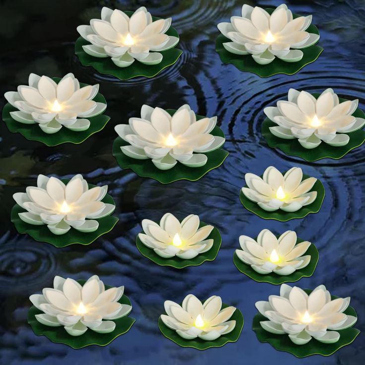 white water lilies floating on top of a pond with lights in the middle of them