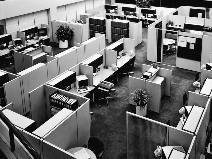 black and white photograph of an office cubicle with desks, computers and plants