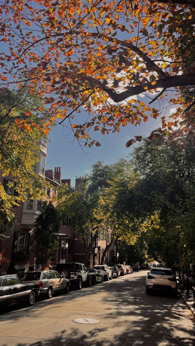 cars parked on the side of a street next to tall buildings and trees with orange leaves