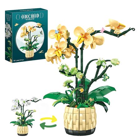 an orchid plant in a vase with two plants inside it and the box behind it