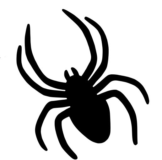 a black and white image of a spider