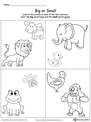 an animal worksheet for children to learn how to draw and color the animals