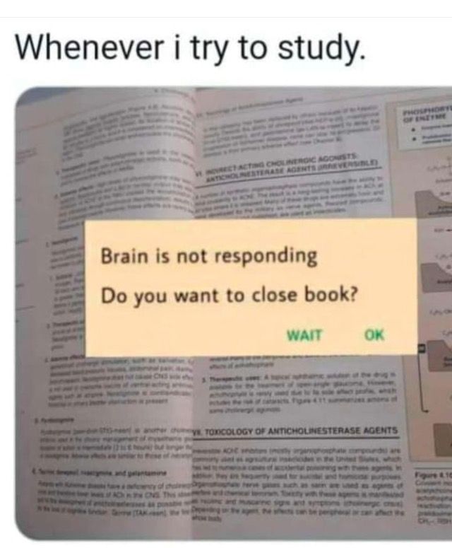 an open book with the words brain is not responding do you want to close book? wait ok