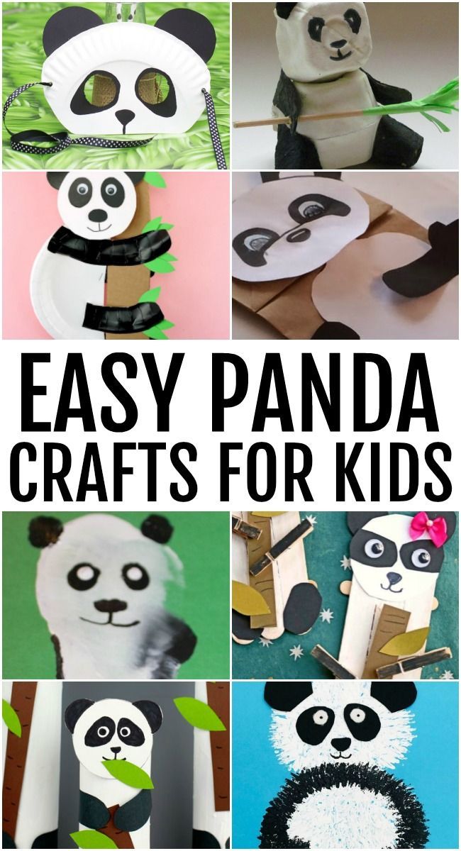 easy panda crafts for kids to make with paper plates and other things that are on display