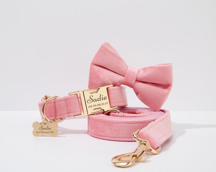 a pink dog collar and leash set with a name tag on the front, along with a matching bow tie