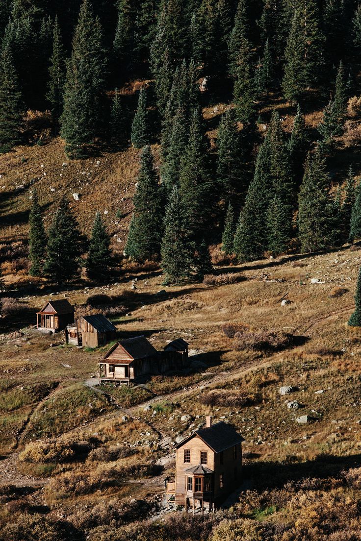 an old abandoned house in the middle of a field with trees on both sides of it